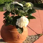 Apartament Panorama