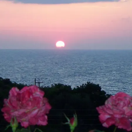 Panorama 아파트 *