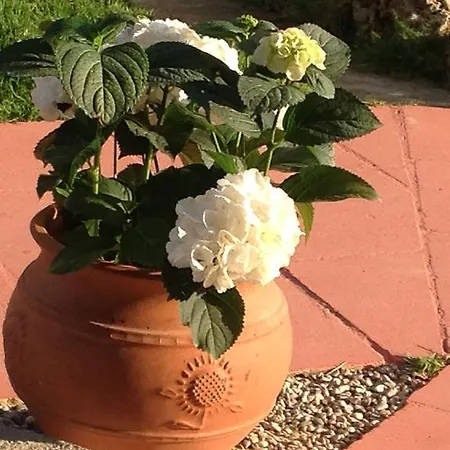 Apartamento Panorama